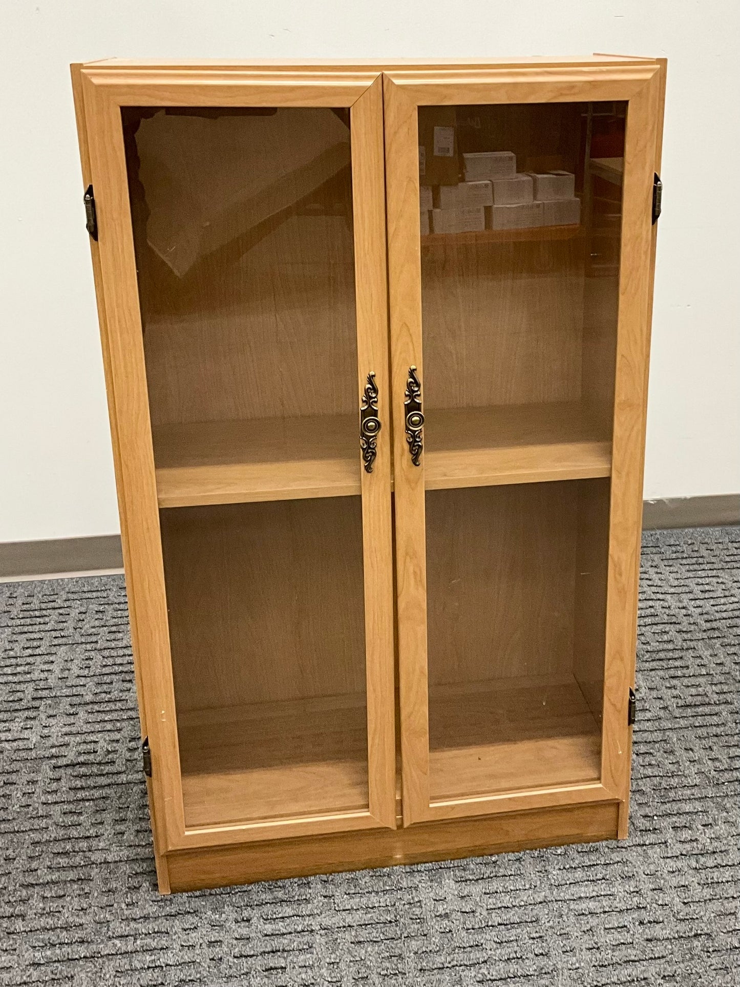 Glass Cabinet 48 x 29 (Gently Used)